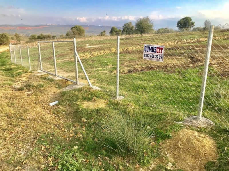 Tel Çit